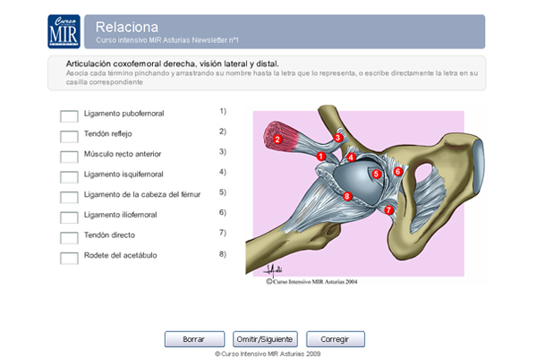 Ejercicio Relaciona