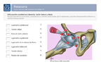 Ejercicios e-learning