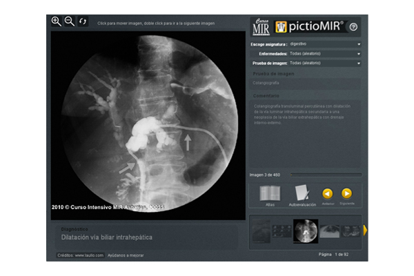 Interactivo visualizador de imágenes médicas pictioMIR